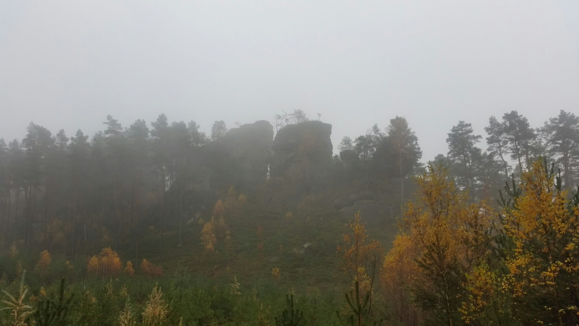 wpid-20151107_113842.jpg