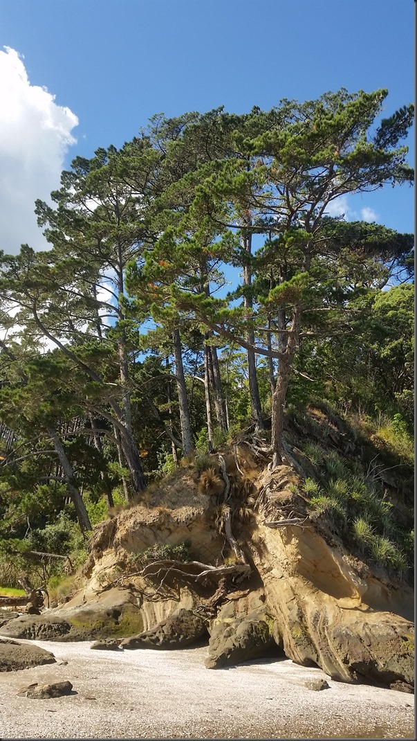 20160414_125801